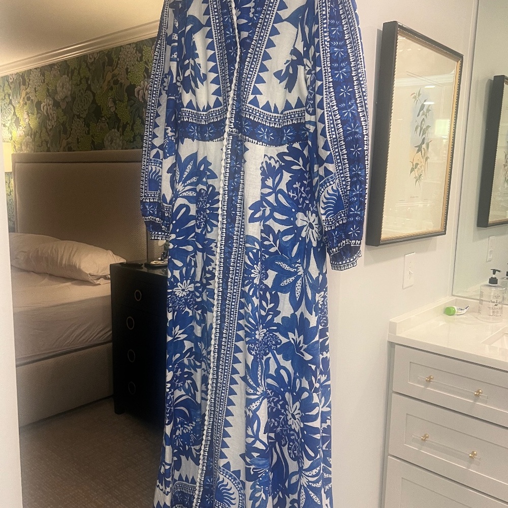 Farm Rio maxi blue and white dress